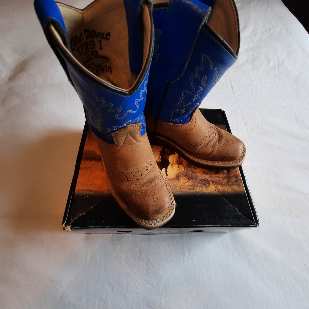 Blue and tan leather cowboy boots.